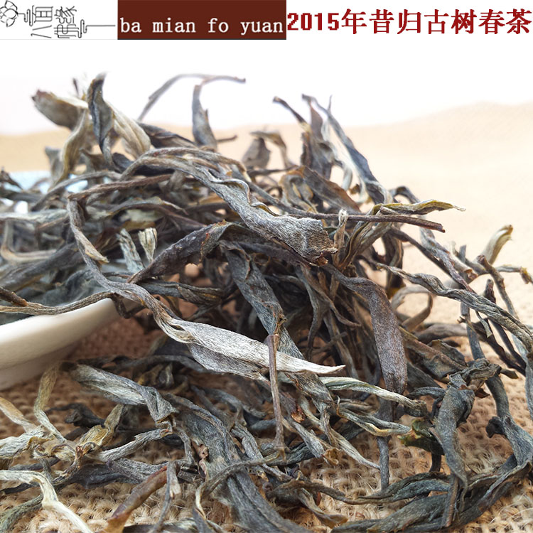 2015年昔归纯料古树茶1600每公斤 高品质 普洱茶 2015年春茶散料