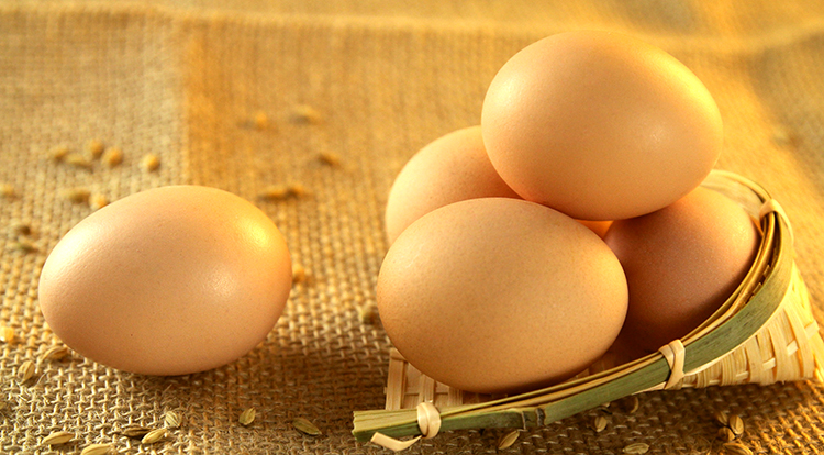 土鸡蛋草鸡蛋农家散养柴鸡蛋笨鸡蛋30只上海农家月子蛋