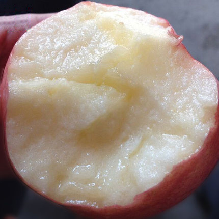 河北红富士苹果水果礼盒批发新鲜现摘批发自产4.5公斤平安夜苹果