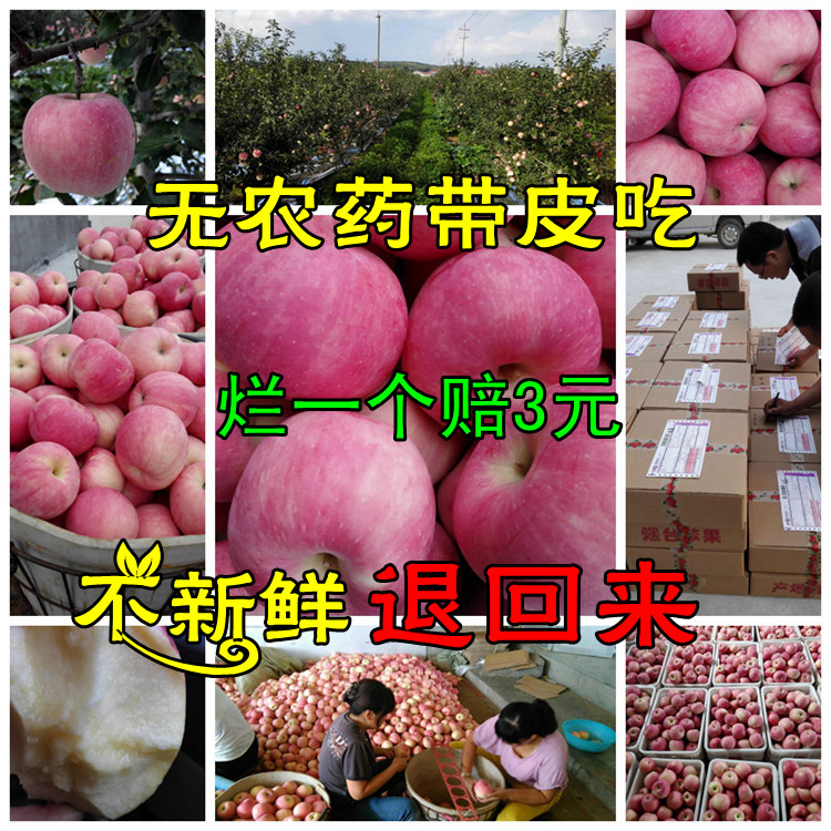 正宗山东烟台苹果栖霞红富士5斤纯天然农家自产有机孕妇新鲜水果