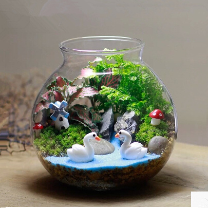 七夕情人节礼物 苔藓微景观生态瓶 创意迷你植物 办公室绿植 礼品