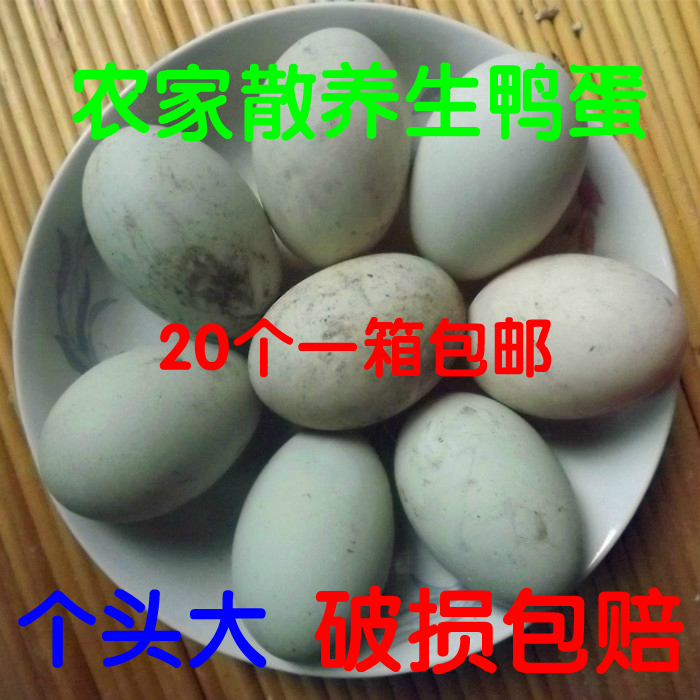 牛家村农家新鲜白皮生虫草鸭蛋农村散养绿皮麻土鸭蛋20个河南特产