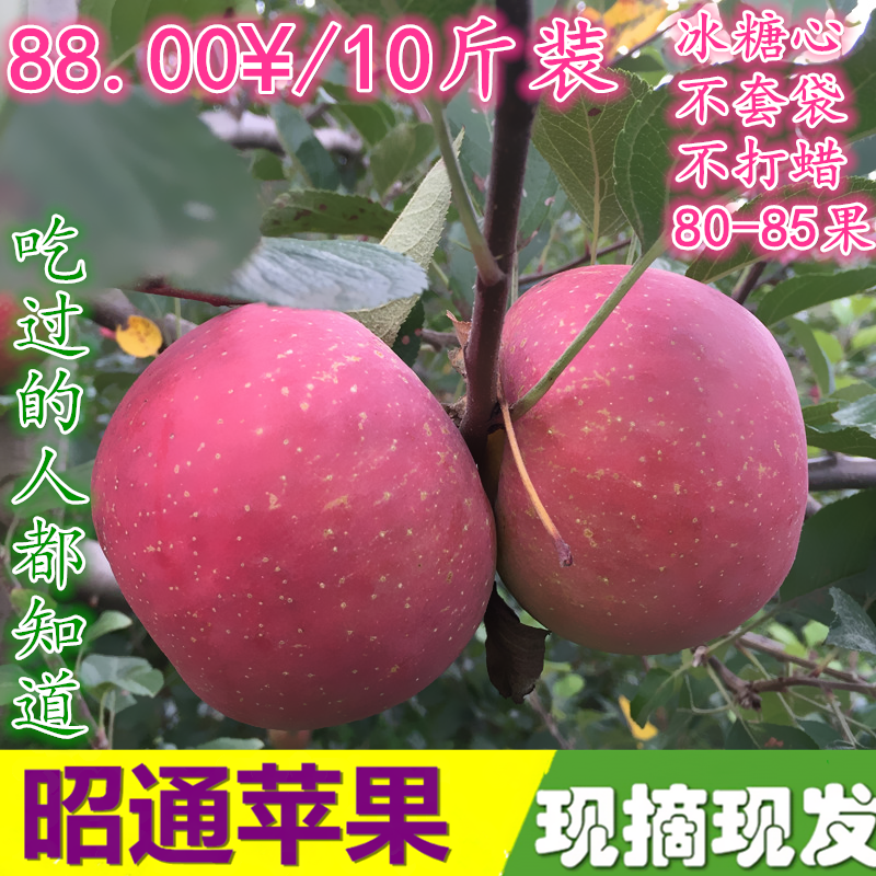云南特产昭通野生冰糖心营养 丑苹果 红富士10斤高原野生新鲜水果
