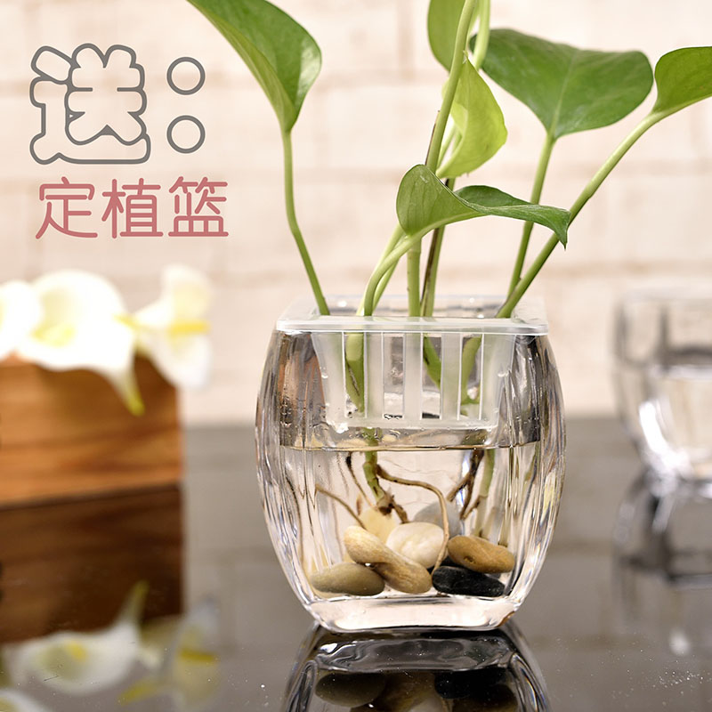 创意家居玻璃花瓶透明方缸水培绿萝方形花器简约时尚客厅装饰摆设