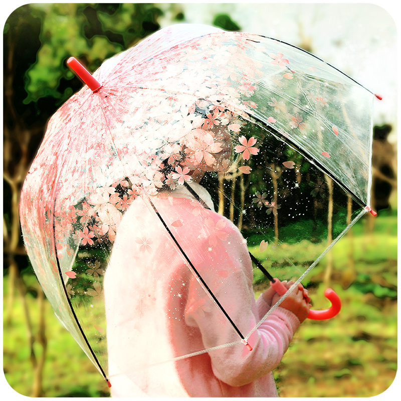直柄弯钩樱花透明雨伞批发 韩国舞蹈伞拱型印花伞雨季长柄公主伞