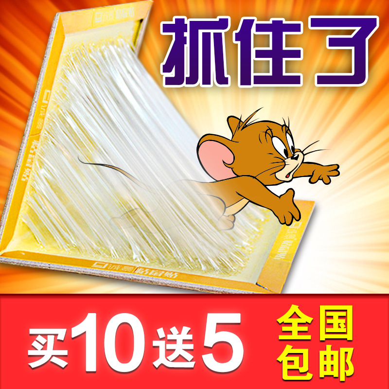 买10送5 老鼠贴超强力驱鼠老鼠板强力粘灭鼠捕鼠器 大老鼠老鼠胶