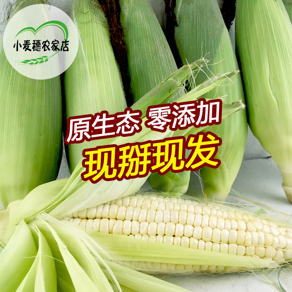 【尝鲜9.9元5个】新鲜玉米农家特产 现摘甜玉米棒绿色食品包邮
