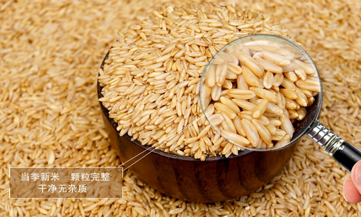 新货农家自产燕麦米 燕麦仁全胚芽生燕麦仁燕麦粒纯天然500g