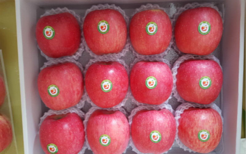 【精美礼盒】陕西白水有机苹果苹果人家专供12枚手提礼盒包装包邮