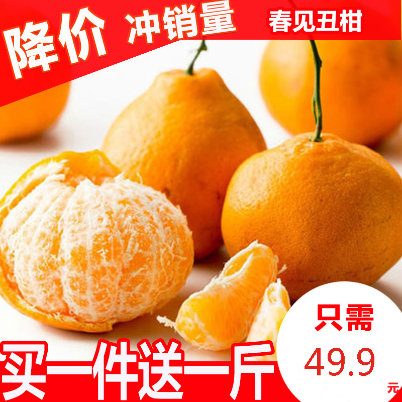 四川不知火丑橘丑柑丑八怪橘子新鲜采摘丑柑水果桔子5斤包邮