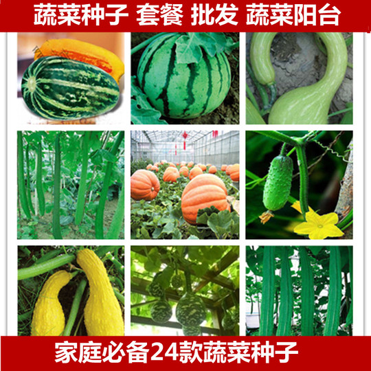 蔬菜种子 24种阳台盆栽种子四季播黄瓜南瓜苦瓜香瓜丝瓜砍瓜种子