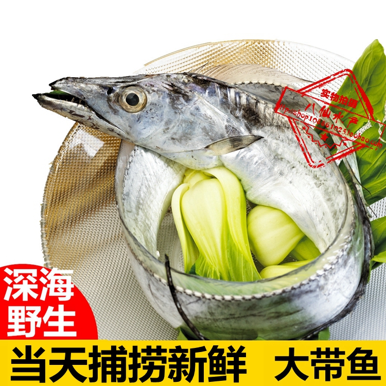 新鲜海鲜野生带鱼鲜活刀鱼海鱼烟台东海大带鱼水产礼品1.5-2斤/条