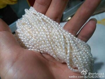 批发海南天然淡水珍珠2—3mm米型珍珠项链