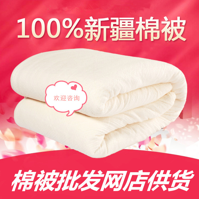 2016特价棉被褥子包邮5斤新疆棉花垫被棉胎被子春秋加厚学生被芯