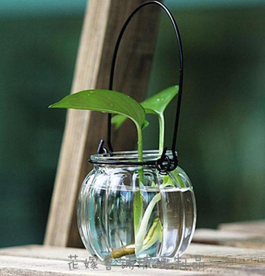 现代家居装饰摆件 透明玻璃水培花瓶花器吊瓶挂瓶挂件玻璃南瓜瓶