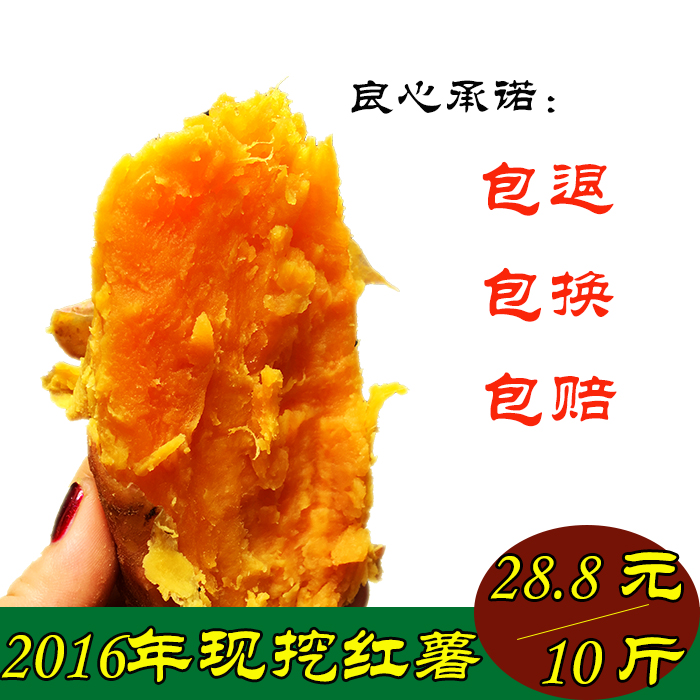 农家自种2016年新鲜黄心红薯10斤甜地瓜山芋非临安天目小番薯板栗
