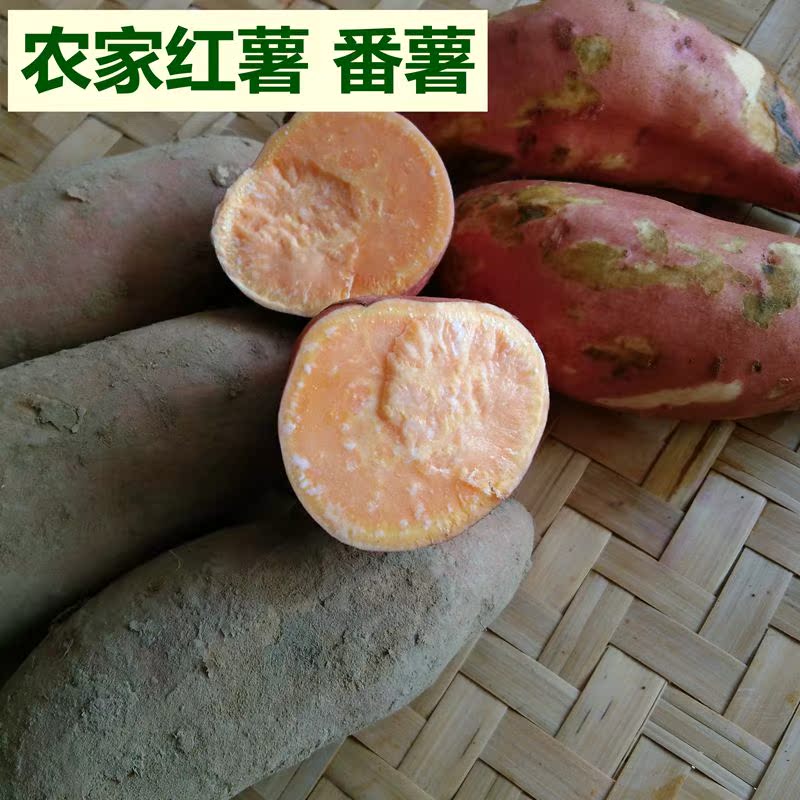 包邮农家自产新鲜红薯番薯黄心红薯5斤/份