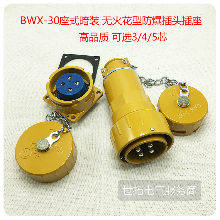 BWX-30基座式暗装3/4/5芯30A 250V/400V无火花型防爆插头插座插销
