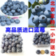 【现货】高品质蓝莓智利空运进口新鲜蓝莓水果1盒 4盒起包顺丰