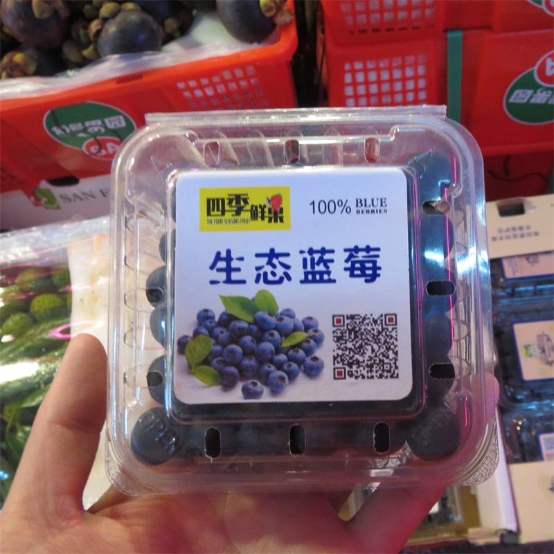 现货新鲜蓝莓蓝梅鲜果蓝莓水果125g*4盒装进口智力哈尔滨同城配送