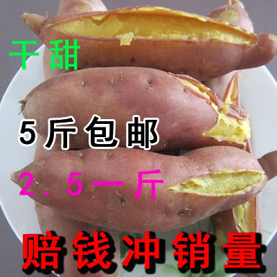 新鲜红薯5斤包邮地瓜新鲜番薯山芋新鲜蔬菜黄心地瓜紫薯