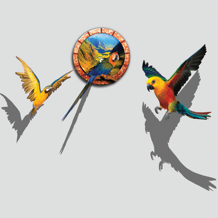 3D画馆画展墙画壁纸墙贴立体三维涂鸦设计定制飞鸟动物鹦鹉飞翔