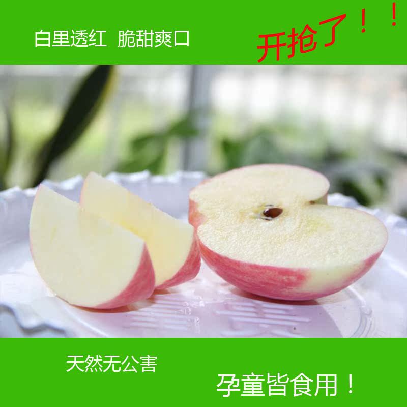 洛川苹果陕西延安陕北特产陕西新鲜红富士水果新鲜苹果5斤装中秋