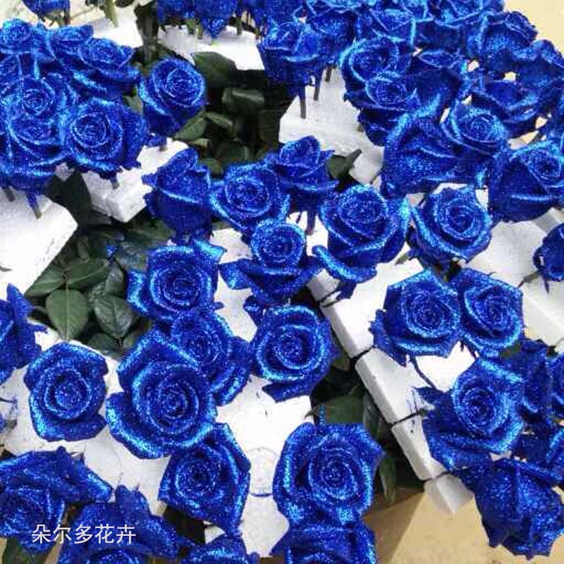 昆明蓝色妖姬 云南鲜花基地直供优质蓝色妖姬七夕情人节长久玫瑰