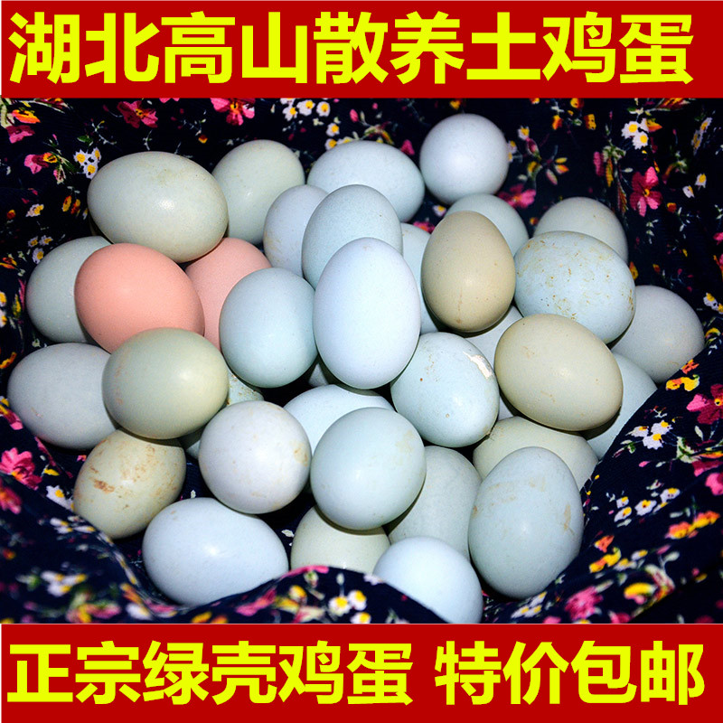 【天天特价】土鸡蛋农家散养新鲜绿壳蛋杂粮虫草月子孕妇蛋50枚