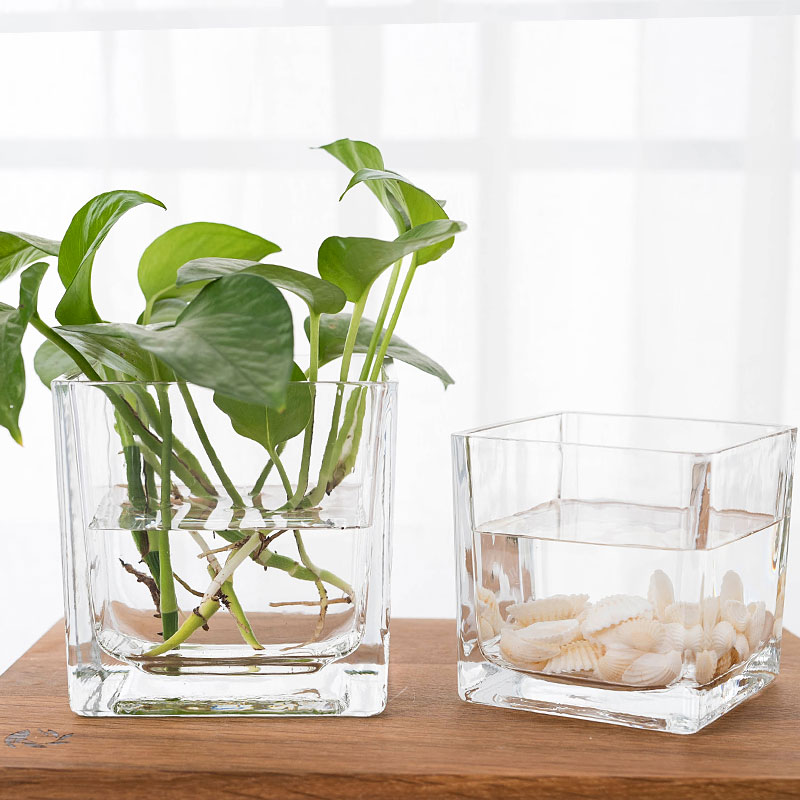 简约正方形水培玻璃器皿透明方缸绿萝睡莲铜钱草水培花盆玻璃花瓶