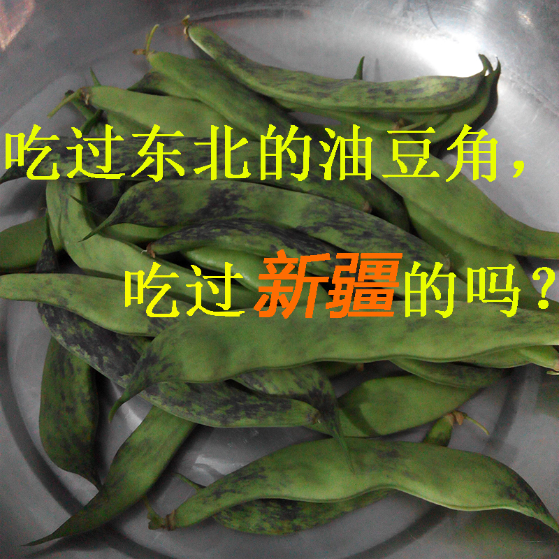 新疆天山农家种植东北油豆角现摘现卖新鲜蔬菜一点红大马掌油豆角