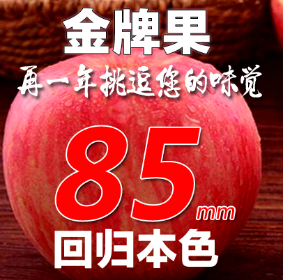 新鲜苹果水果陕西红富士苹果延安洛川有机富硒吃的脆苹果特价85大