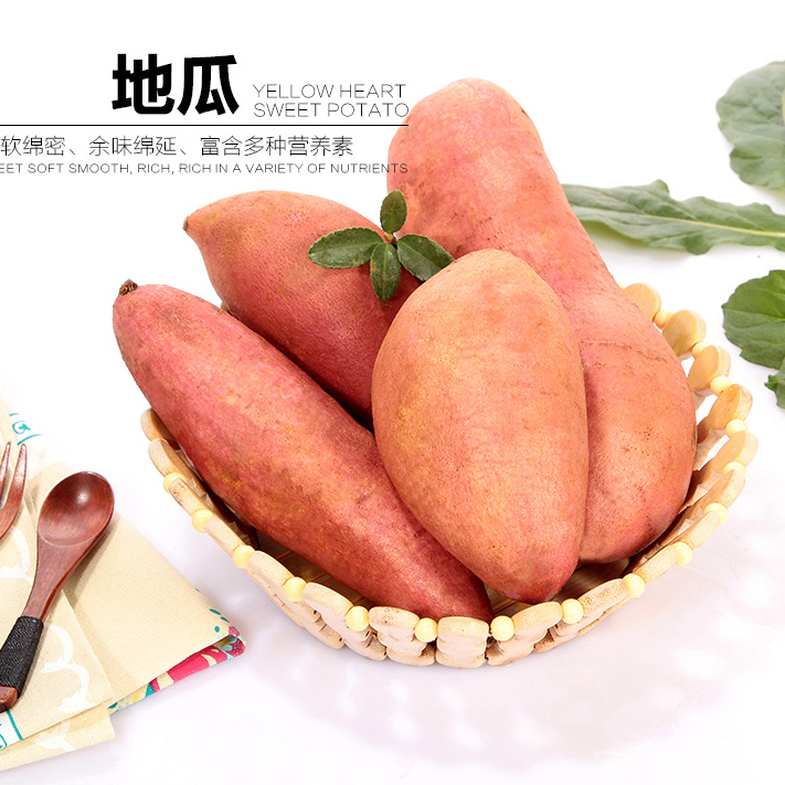 甘肃庆阳特产香甜地瓜新鲜蔬菜 农家烤红薯红皮小山芋番薯5斤包邮