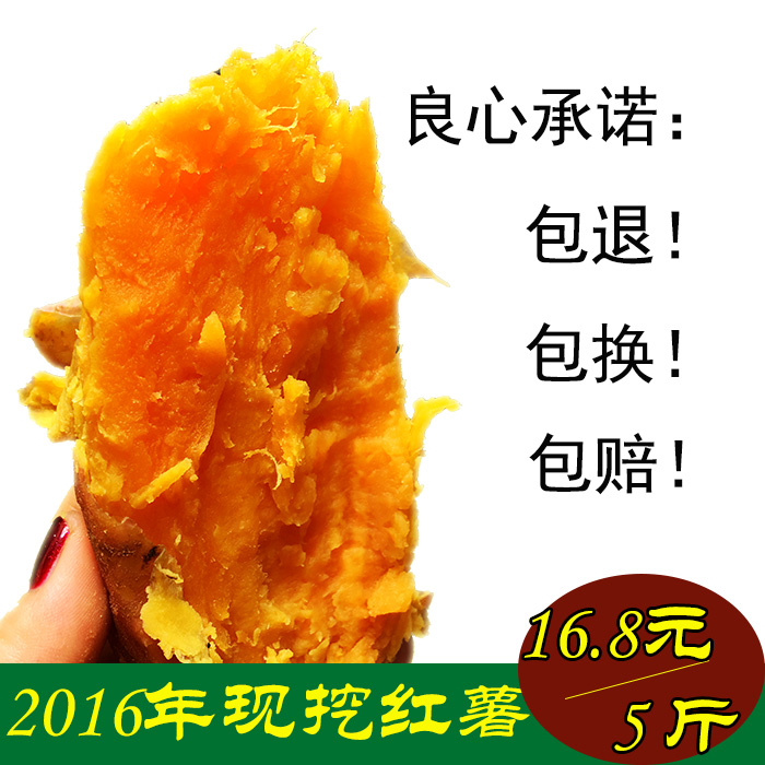 农家2016年新鲜黄心红薯5斤高山烤地瓜小山芋番薯富硒宝宝辅食